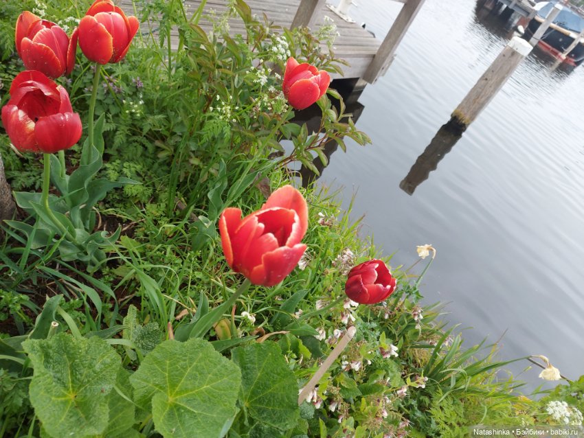 Fashion Dolls 345 — Туризм и путешествия: фотоотчеты из поездок