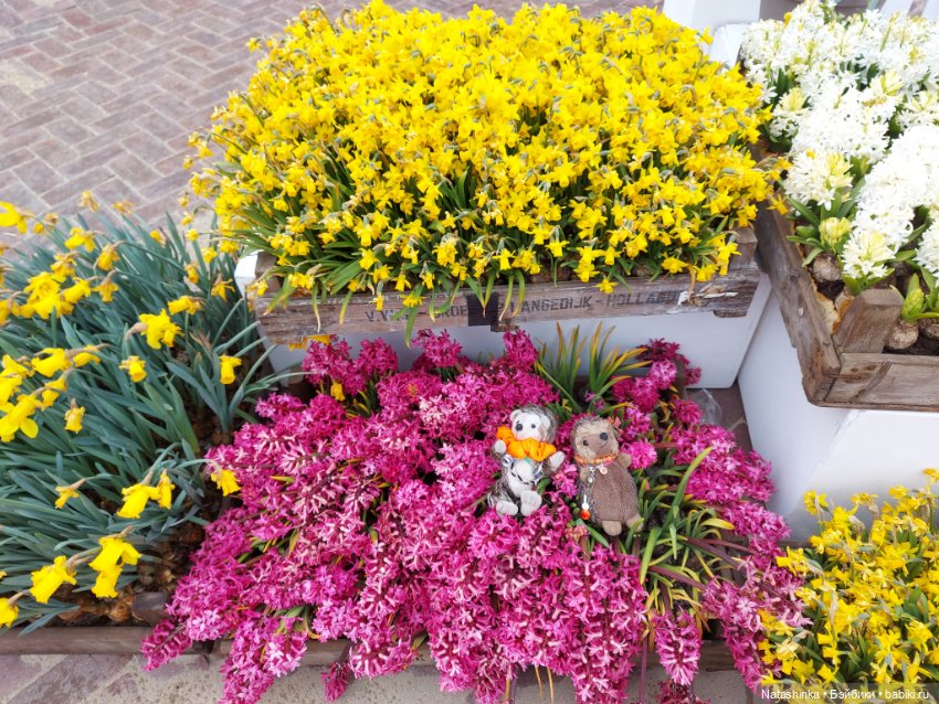 Fashion Dolls 345 — Туризм и путешествия: фотоотчеты из поездок