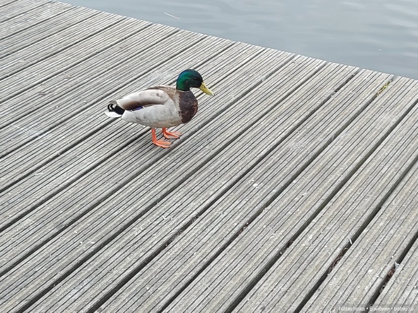 Fashion Dolls 345 — Туризм и путешествия: фотоотчеты из поездок