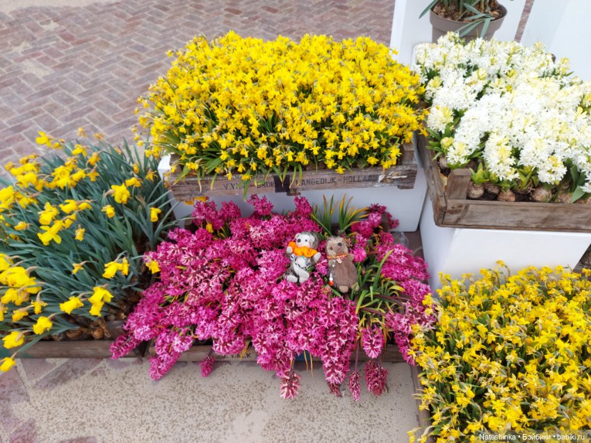 Fashion Dolls 345 — Туризм и путешествия: фотоотчеты из поездок