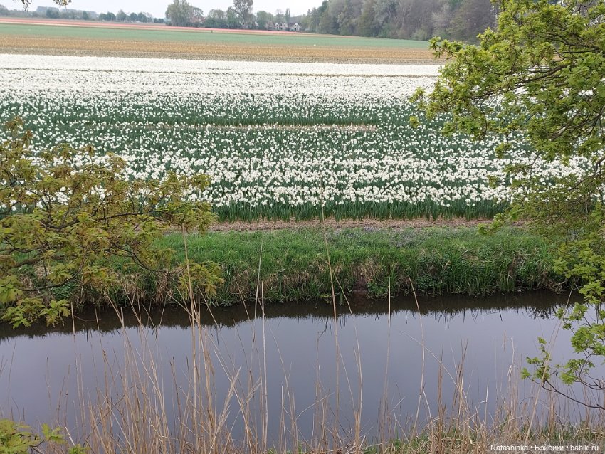 Fashion Dolls 345 — Туризм и путешествия: фотоотчеты из поездок