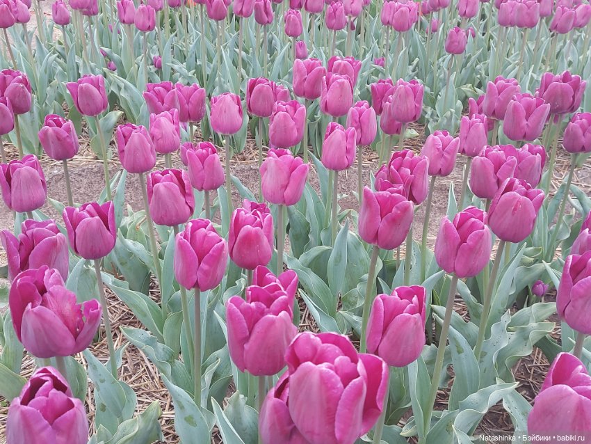 Fashion Dolls 345 — Туризм и путешествия: фотоотчеты из поездок