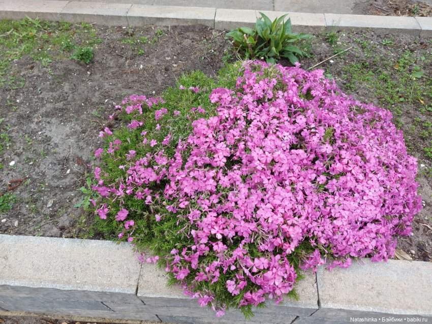 Fashion Dolls 345 — Туризм и путешествия: фотоотчеты из поездок (фото 4)