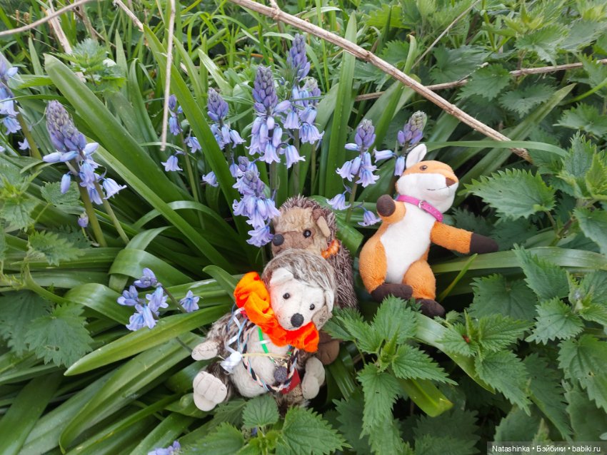 Fashion Dolls 345 — Туризм и путешествия: фотоотчеты из поездок (фото 3)