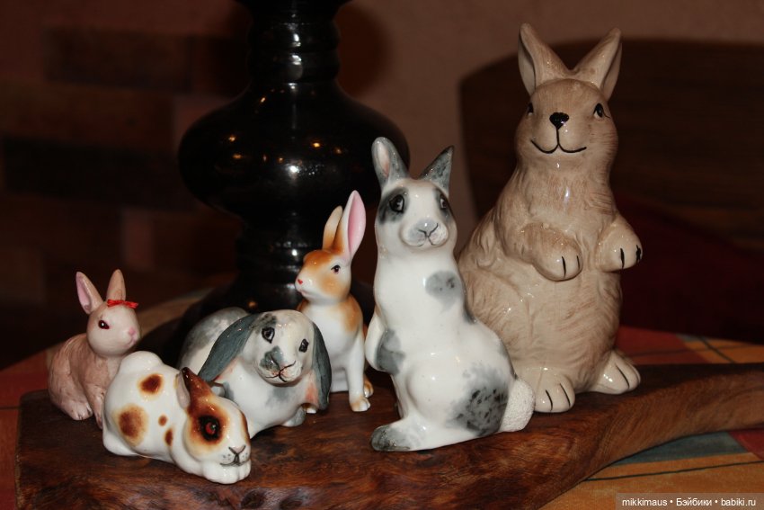 Коллекция зайцев — Интересное и необычное: фотоподборки