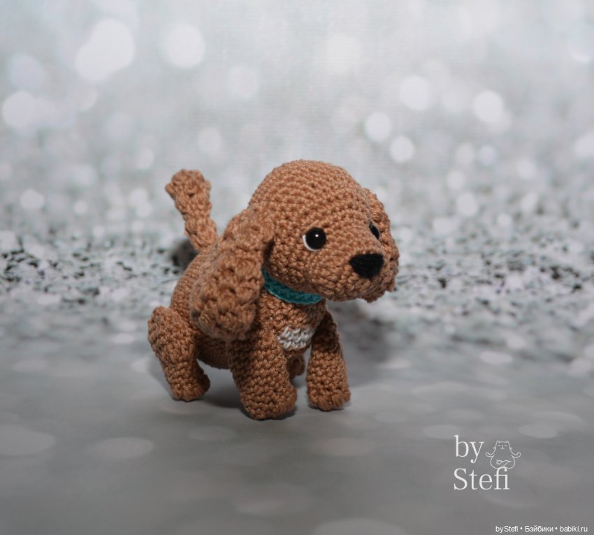 Пёсели. Какая порода вам больше нравится (фото 3)