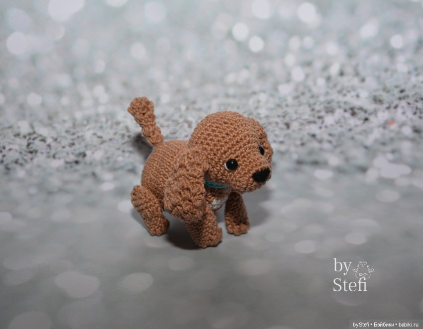 Пёсели. Какая порода вам больше нравится (фото 4)