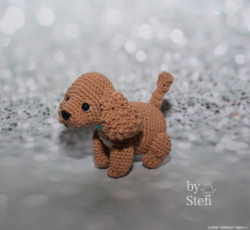 Пёсели. Какая порода вам больше нравится (фото 2)