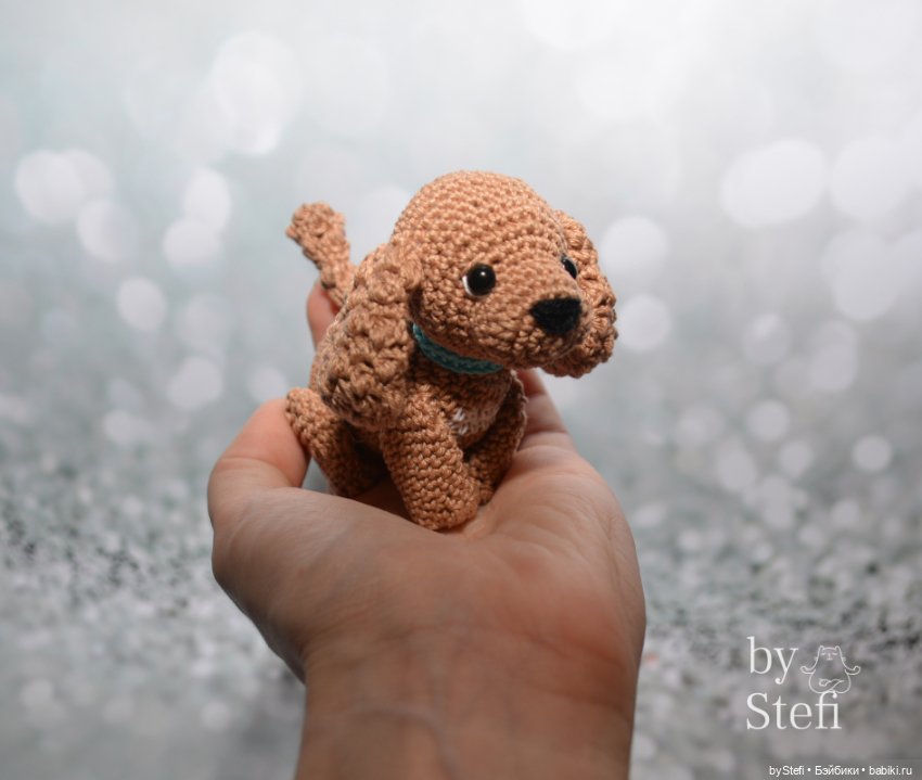 Пёсели. Какая порода вам больше нравится (фото 6)