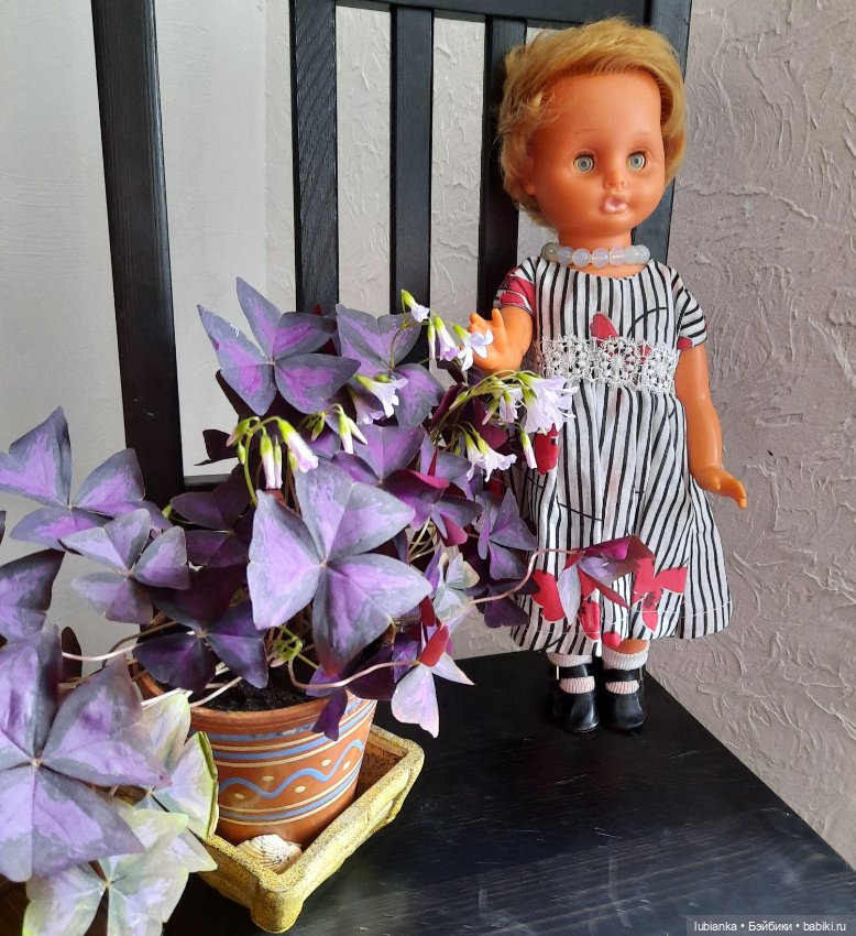 Ещё один взмах крылышек моей кукольной феи🥰