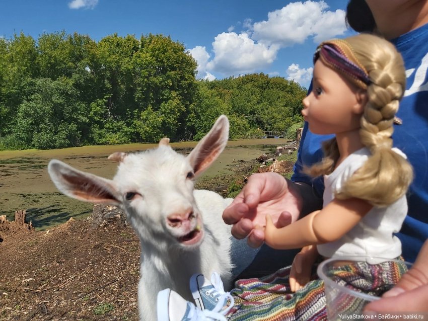 Парк сказов — Игровые куклы разных производителей (Разное): редкие бренды