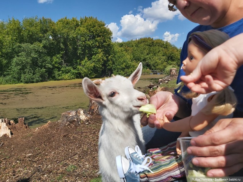 Парк сказов — Игровые куклы разных производителей (Разное): редкие бренды