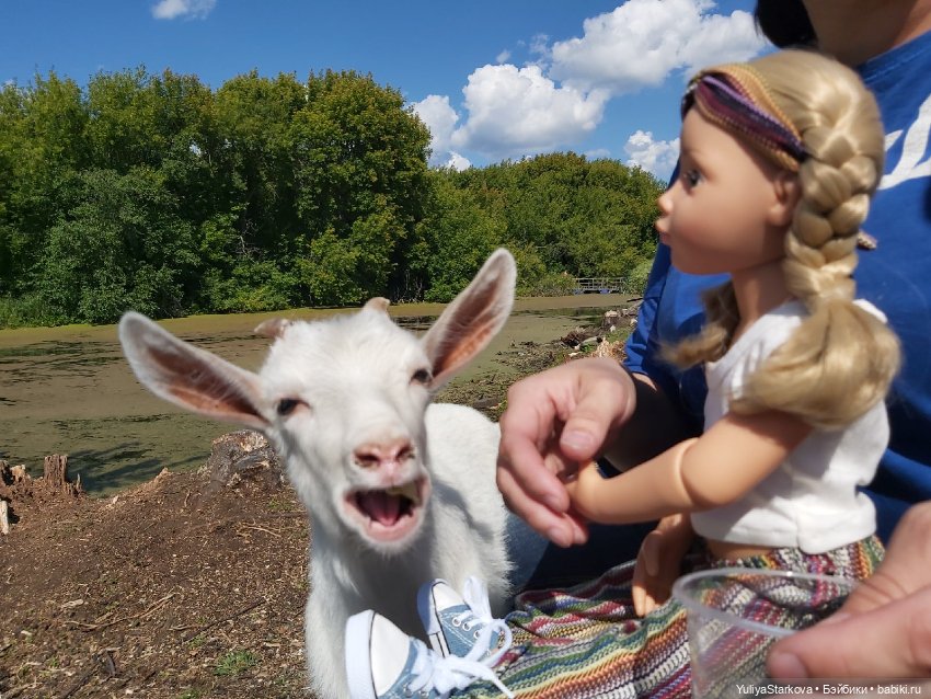 Парк сказов — Игровые куклы разных производителей (Разное): редкие бренды