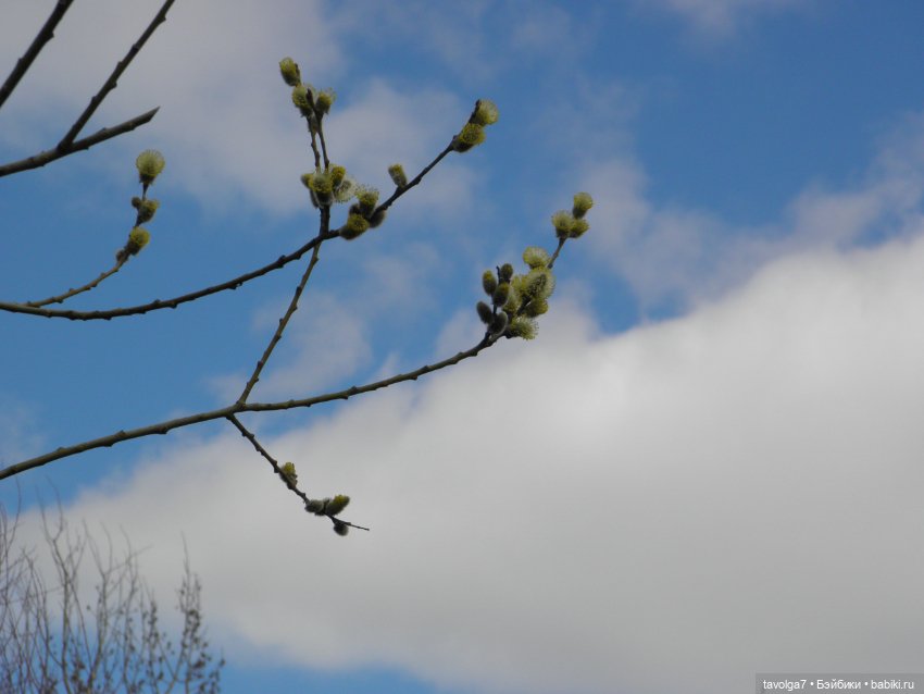 Очень Странная Компания в Санкт-Петербурге (фото 4)
