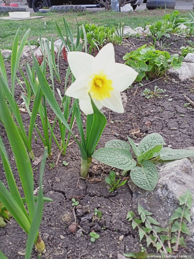 Весенние зарисовки... Прогулка