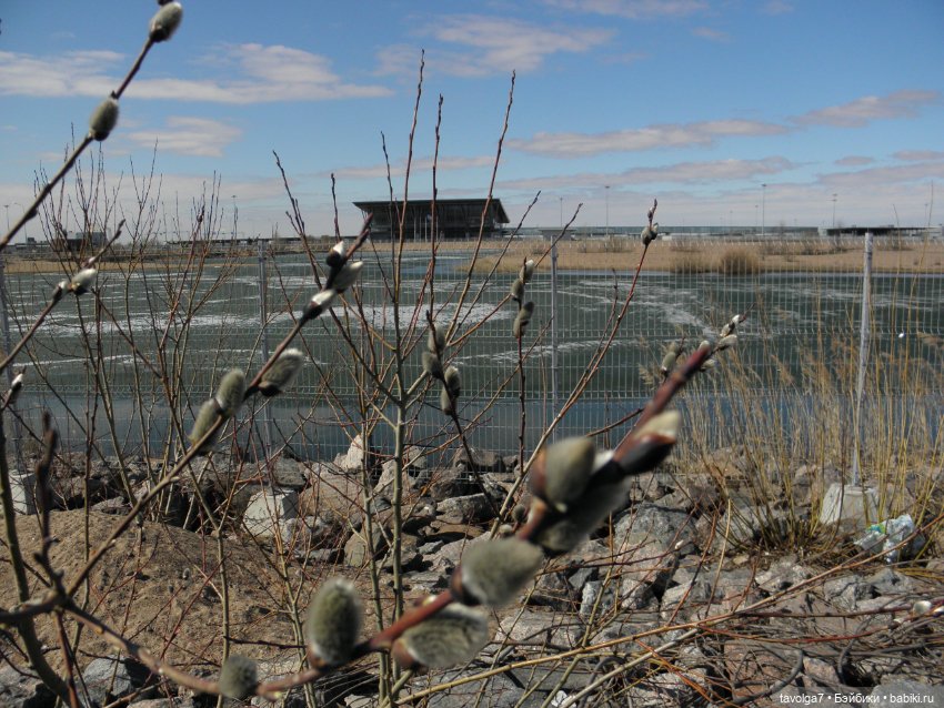 Очень Странная Компания в Санкт-Петербурге (фото 9)