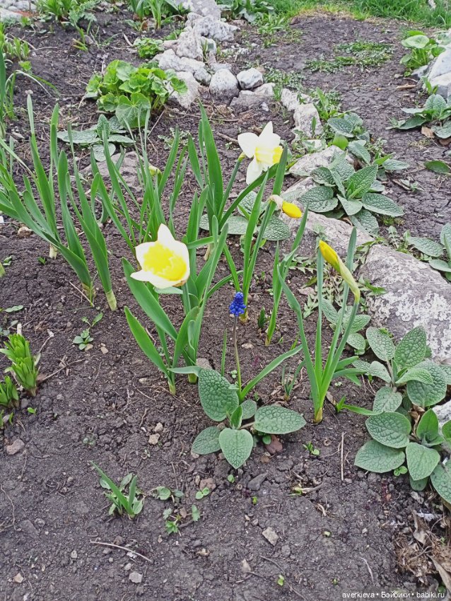 Весенние зарисовки... Прогулка