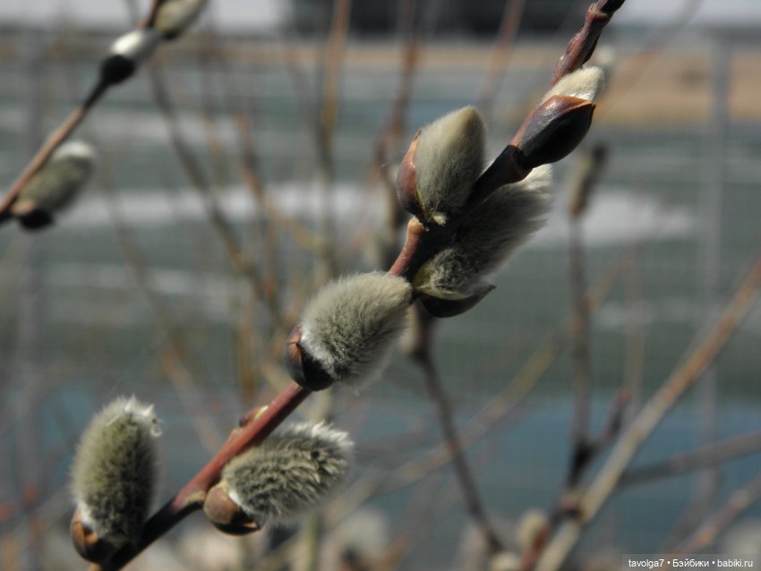 Очень Странная Компания в Санкт-Петербурге (фото 10)