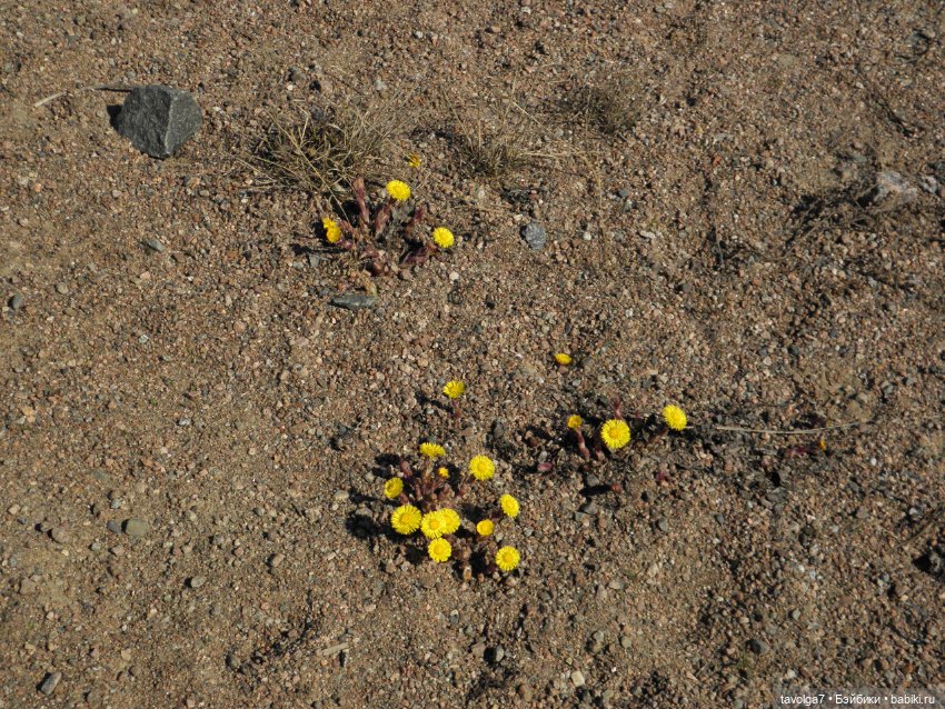 Очень Странная Компания в Санкт-Петербурге (фото 5)