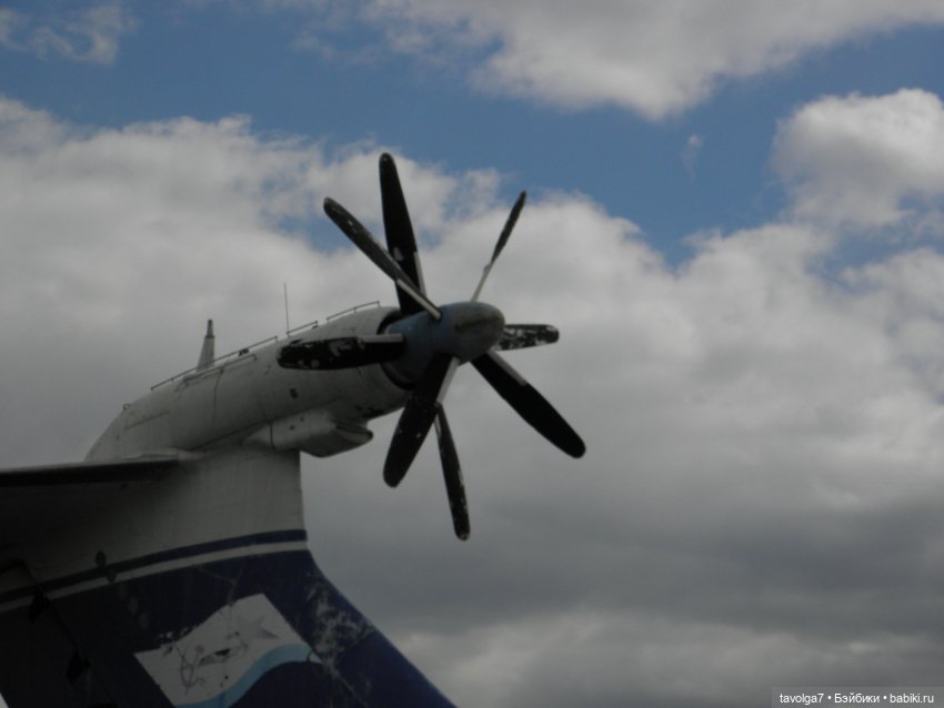 BeGoths на Химкинском водохранилище в Москве (фото 9)