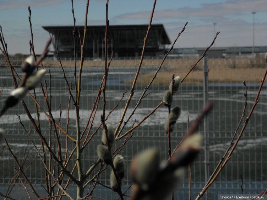 Очень Странная Компания в Санкт-Петербурге