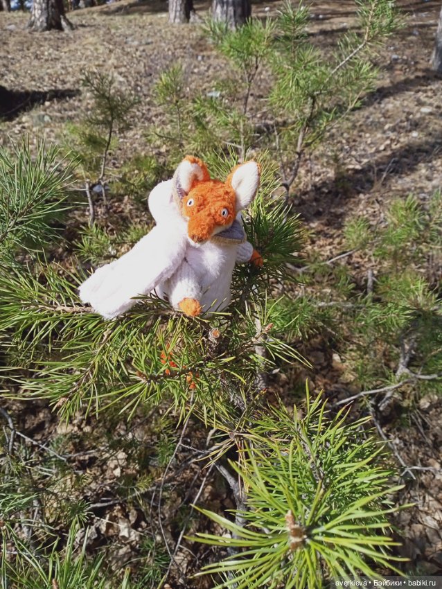 Весенние зарисовки... Прогулка