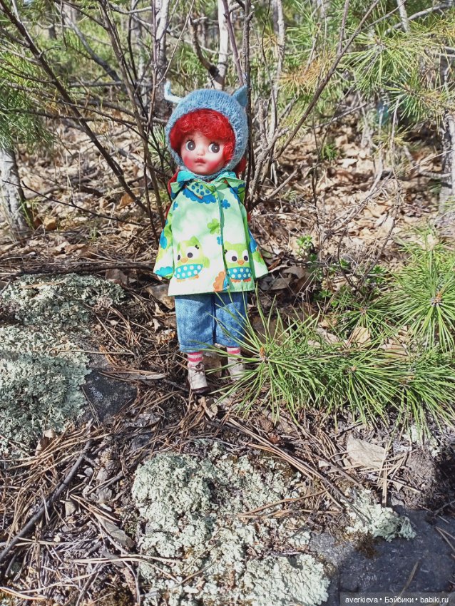 "Укрощение строптивой" — Азиатские виниловые куклы (разное): Китай