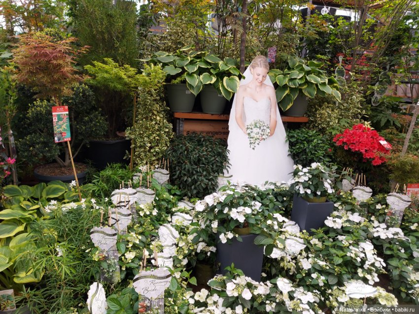 Fashion Dolls 348 — Туризм и путешествия: фотоотчеты из поездок