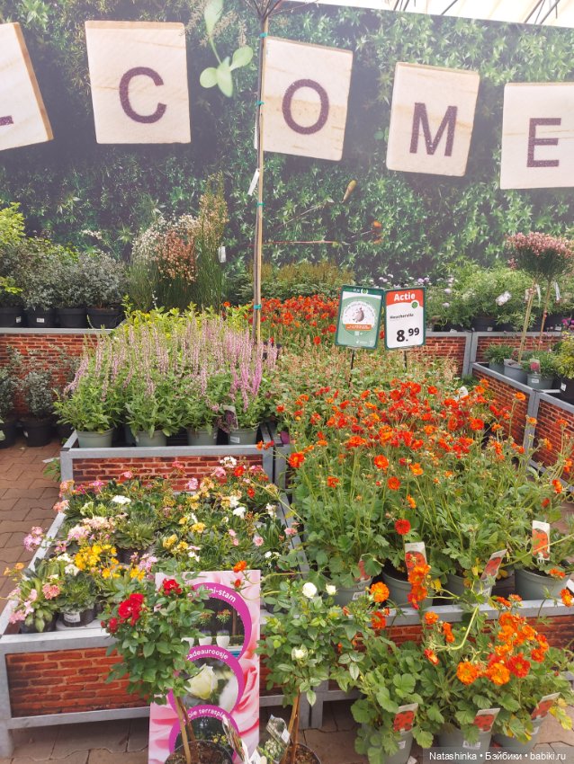 Fashion Dolls 348 — Туризм и путешествия: фотоотчеты из поездок