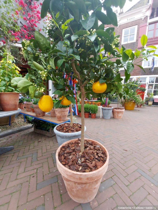 Fashion Dolls 348 — Туризм и путешествия: фотоотчеты из поездок