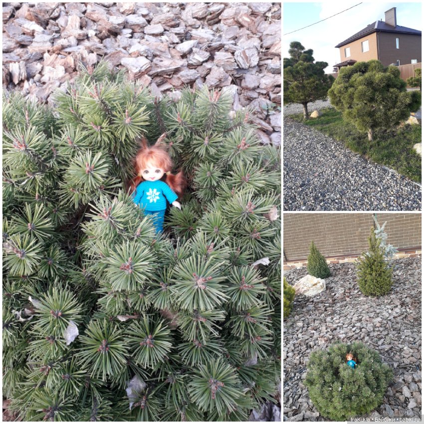 Сложный день — Туризм и путешествия: фотоотчеты из поездок (фото 6)