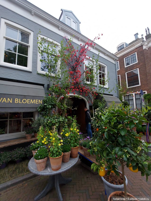 Fashion Dolls 348 — Туризм и путешествия: фотоотчеты из поездок