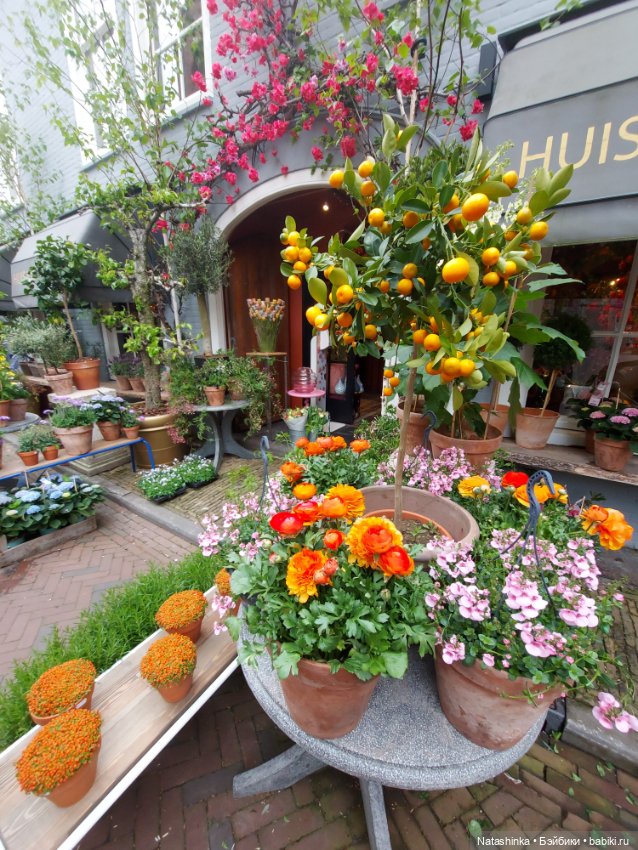 Fashion Dolls 348 — Туризм и путешествия: фотоотчеты из поездок