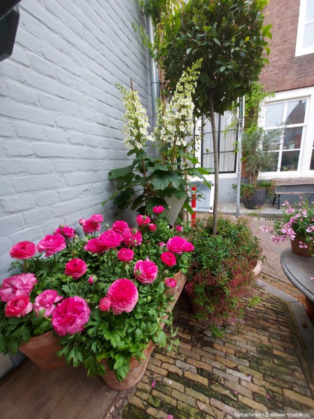 Fashion Dolls 348 — Туризм и путешествия: фотоотчеты из поездок