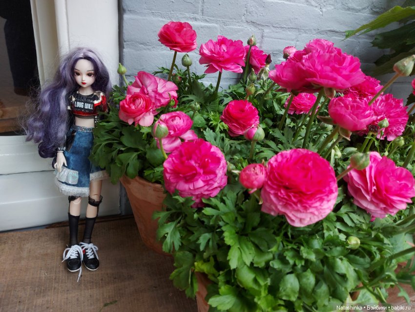 Fashion Dolls 348 — Туризм и путешествия: фотоотчеты из поездок