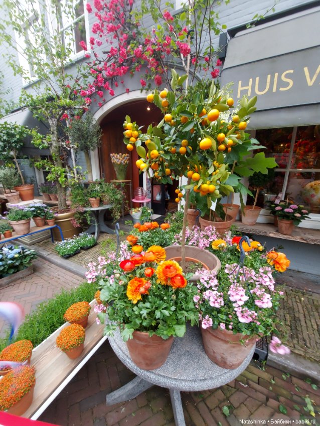 Fashion Dolls 348 — Туризм и путешествия: фотоотчеты из поездок