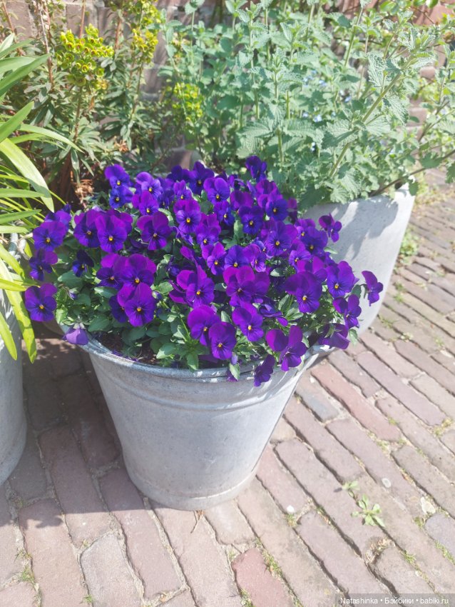 Fashion Dolls 348 — Туризм и путешествия: фотоотчеты из поездок