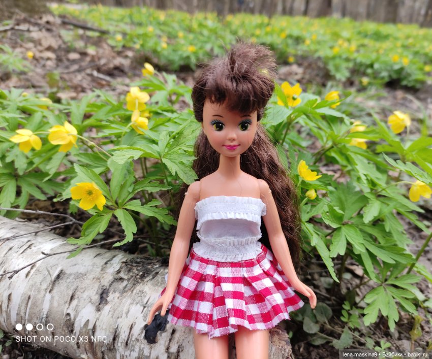 Весна, лес, куклы — Винтажные куклы ГДР (Немки): Бигги