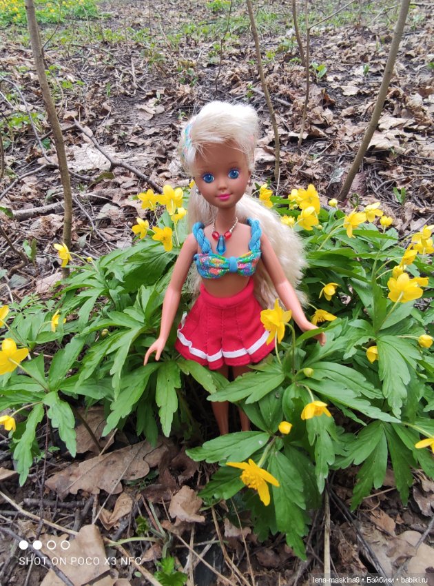 Весна, лес, куклы — Винтажные куклы ГДР (Немки): Бигги (фото 5)