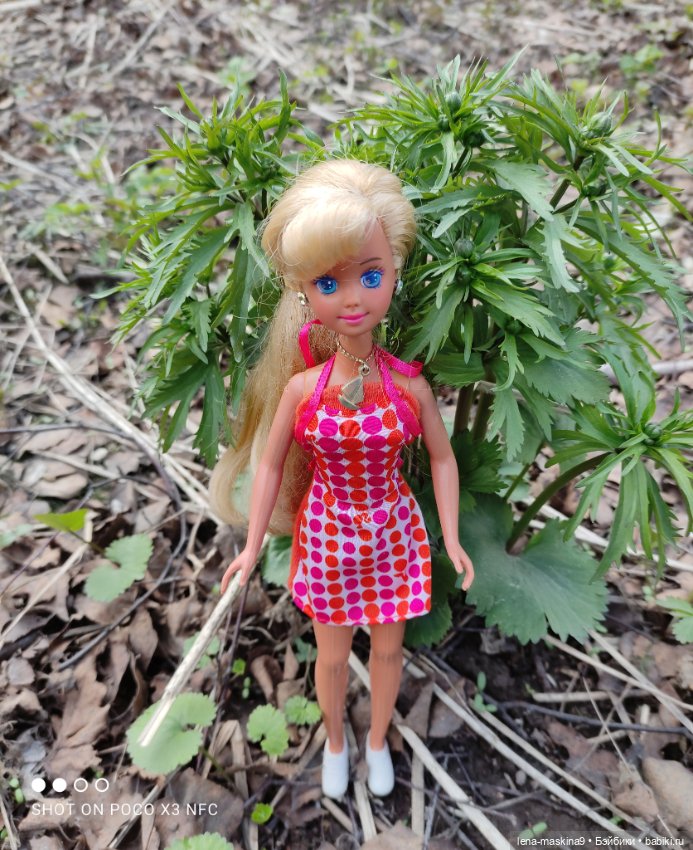 Весна, лес, куклы — Винтажные куклы ГДР (Немки): Бигги