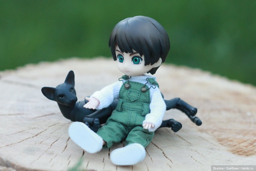 Прогулка с котиком — Гибриды шарнирных кукол (не БЖД): подбор тела (фото 3)