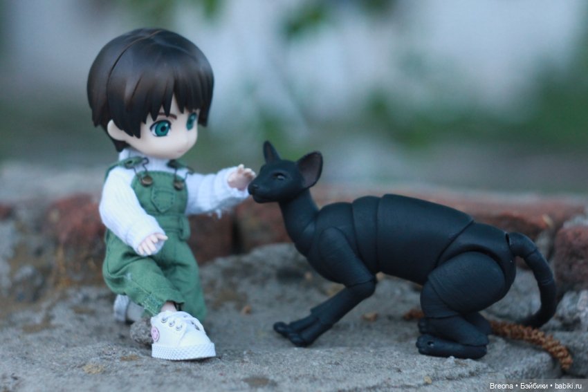 Прогулка с котиком — Гибриды шарнирных кукол (не БЖД): подбор тела (фото 6)