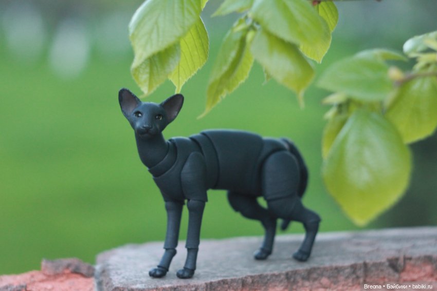 Прогулка с котиком — Гибриды шарнирных кукол (не БЖД): подбор тела (фото 5)