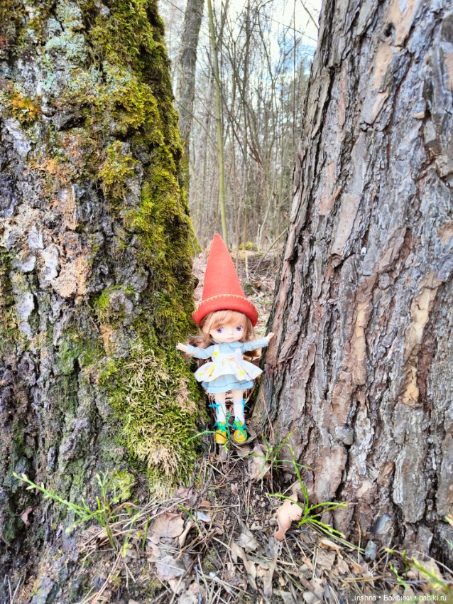 Гномы — Туризм и путешествия: фотоотчеты из поездок