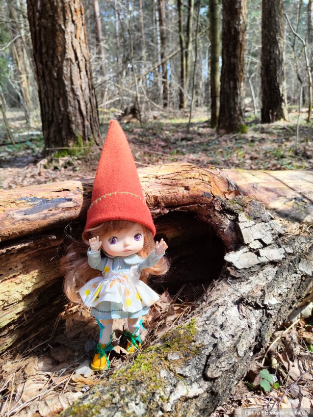 Гномы — Туризм и путешествия: фотоотчеты из поездок