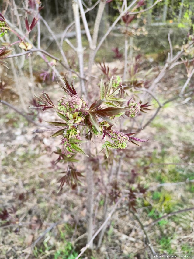 Гномы — Туризм и путешествия: фотоотчеты из поездок
