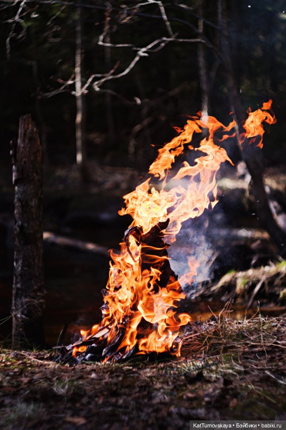 Бельтайн с Sleeping Beauty in the Wood (Zombie princess WOW WEE) (фото 9)