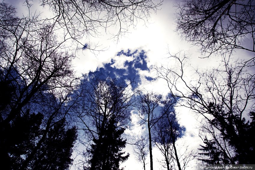 Бельтайн с Sleeping Beauty in the Wood (Zombie princess WOW WEE) (фото 5)