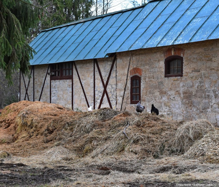 Бонни в Поленово — Куклы Xiaomi Monst (Сяоми) и Pipitom: шарнирные (фото 8)