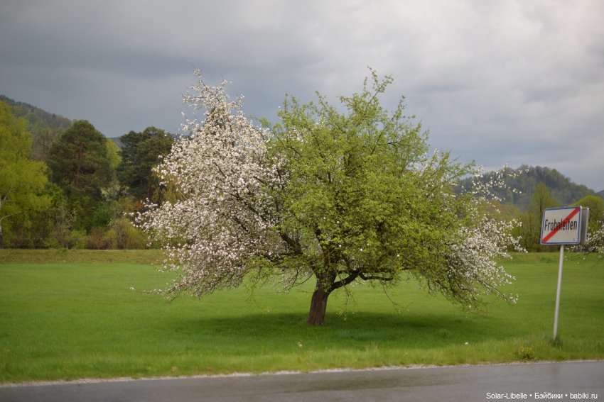 Весна. После дождя — Куклы Ruby Red (Руби Ред) Fashion Friends: Siblies